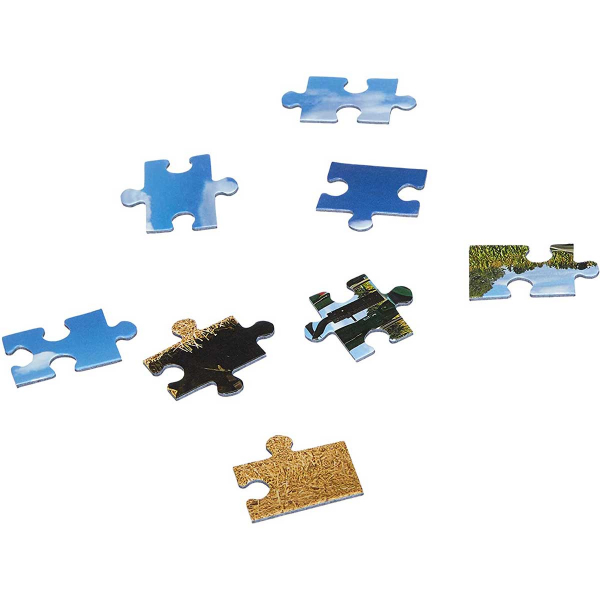 Castorland Puzzle 1000 Pezzi - Primavera (CSC104055) - Alta Qualità, Perfetto Per Tutta La Famiglia