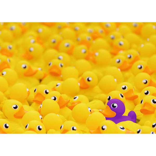 Ravensburger puzzle (slagalice) – 1000pcs Gumene patkice RA12000587