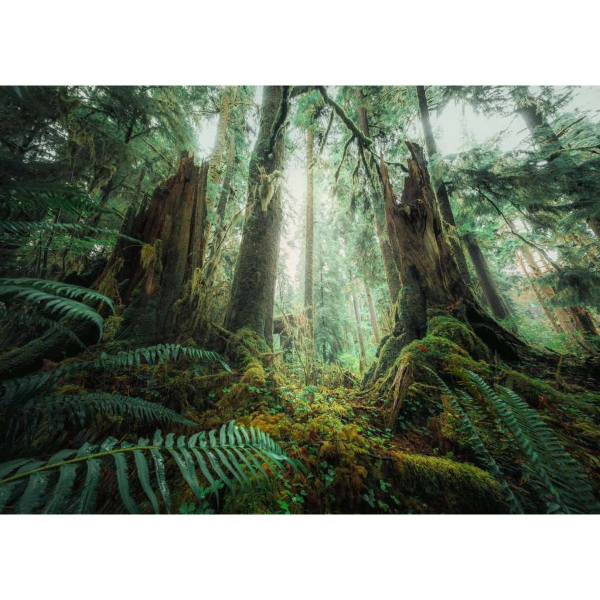 Ravensburger puzzle (slagalice) – 1000pcs Nature Edition Šuma RA17494