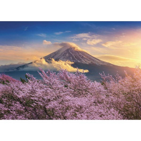 Lisciani slagalica 500pcs + poster Japan 120994