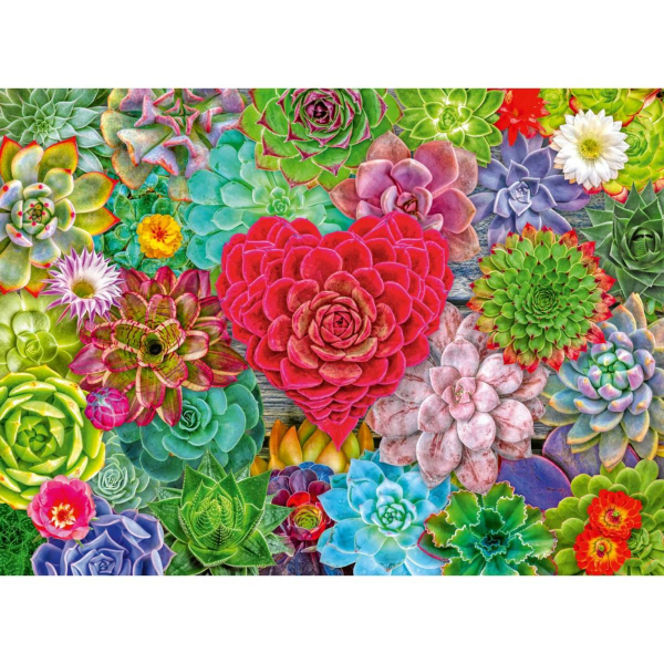 Ravensburger puzzle (slagalice) 500pcs Ljubav prema sukulentima RA12001469